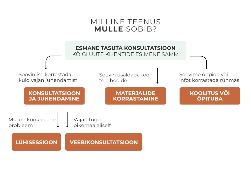 Teenuse valimise skeem - arvutiversioon: kõik uued kliendid alustavad tasuta konsultatsioonist ning jätkavad vajaduse järgi juhendamise, materjalide korrastamise või koolituse või õpitoaga.